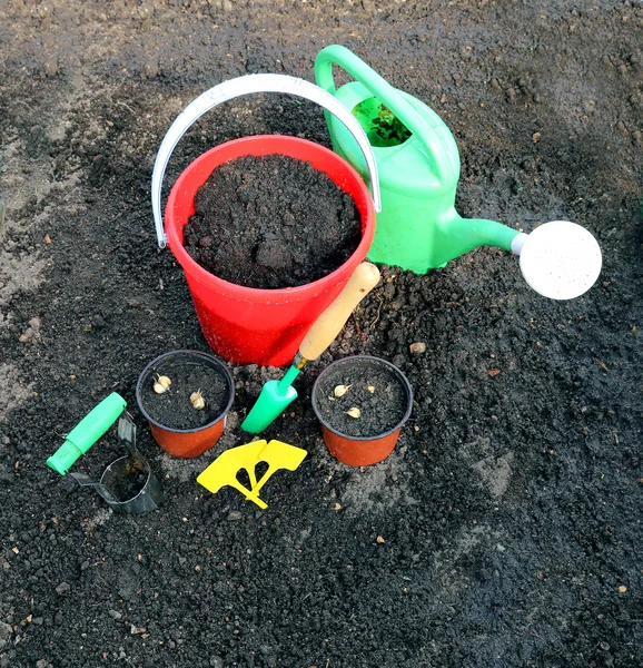 Horticulture accessories on the gardenbed — Stock Photo, Image