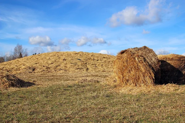 Haystacks on the farm — Stock Photo, Image