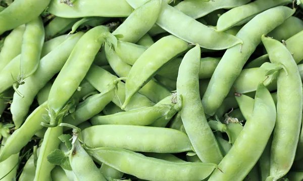 Background of fresh green pea pods — Stock Photo, Image