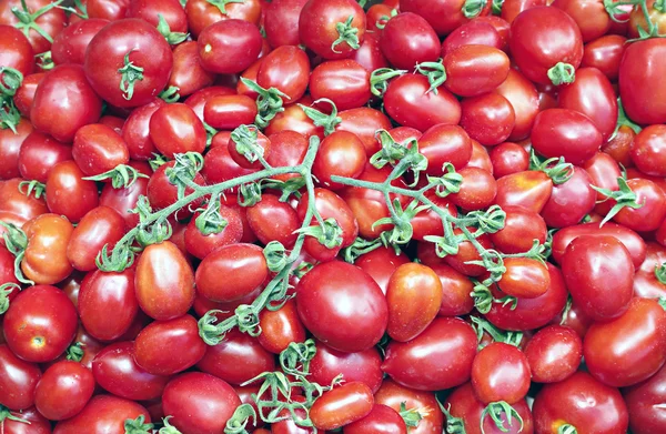 Many of juicy ripe red tomatoes — Stock Photo, Image