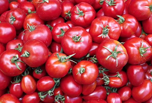 Muchos de jugosos tomates rojos maduros — Foto de Stock