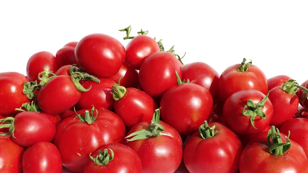 Pomodori rossi vivaci isolati — Foto Stock