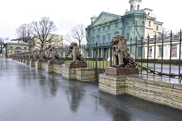 Flera statyer brons lejon längs staketet i St. Petersbur — Stockfoto