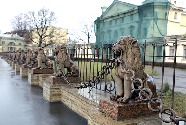 Flera statyer brons lejon längs staketet i St Petersburg — Stockfoto