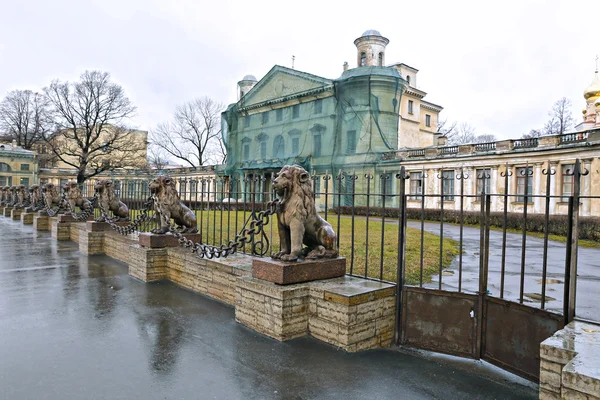 Několik soch bronzových lvů podél plotu v Petrohradu — Stock fotografie