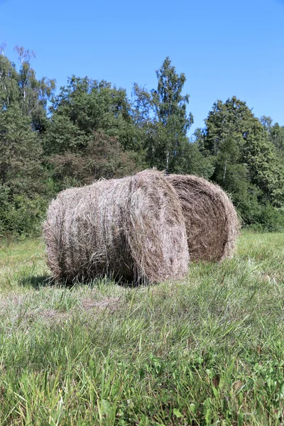 Haystacks στη φάρμα — Φωτογραφία Αρχείου
