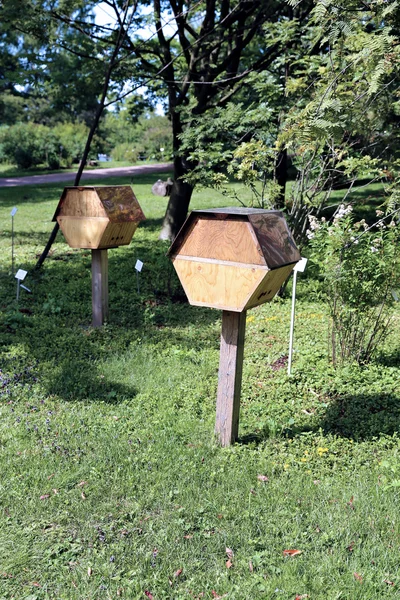 La ruche en bois — Photo
