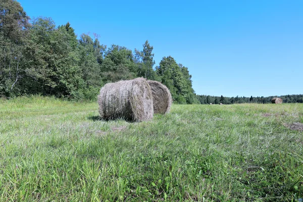 Haystacks na fazenda — Fotografia de Stock