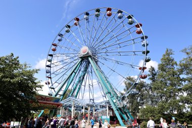 Bitkiler hendek stonecrop