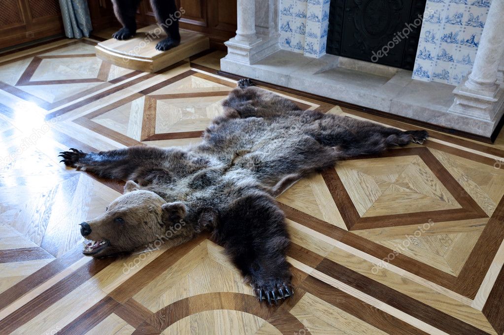 Download - Bearskin rug on the floor in front of a fireplace - Stock Image....