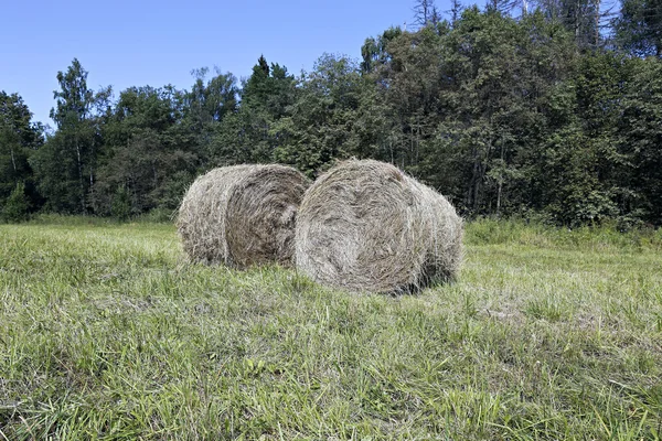 Haystacks à la ferme — Photo