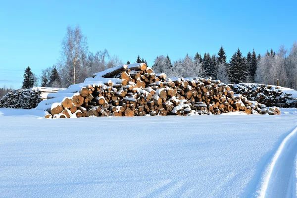 Colheita de toras de madeira em uma floresta na Rússia no inverno — Fotografia de Stock