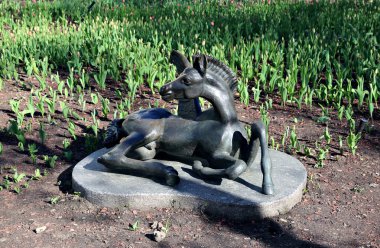 Anıt genç colt Pegasus Moskova'da