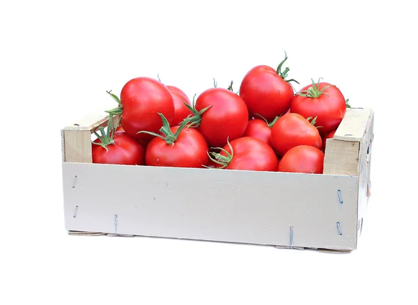 Cosecha de tomates rojos maduros en caja de madera aislada — Foto de Stock