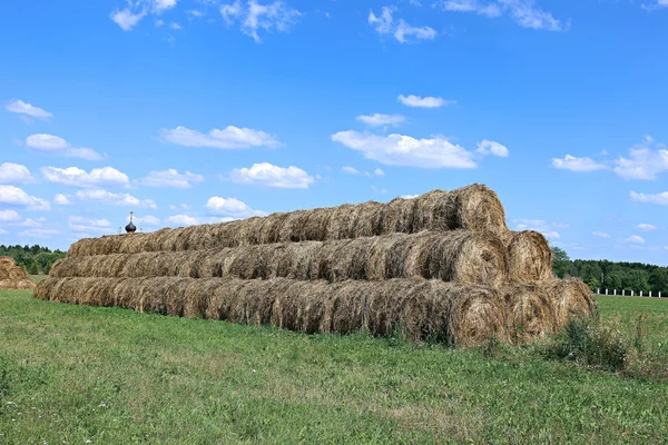 Haystacks sur la ferme dans le champ — Photo