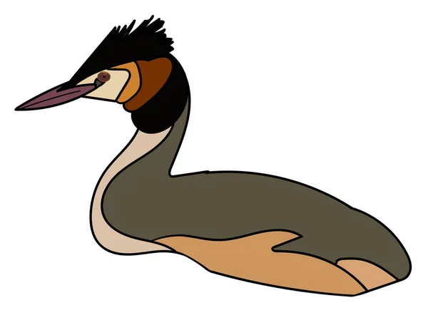 Illustrazione Grafica Great Crested Grebe Utilizzare Come Icona Logo Decorazione — Foto Stock