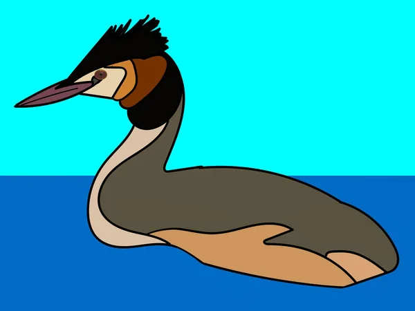 Illustrazione Grafica Great Crested Grebe Utilizzare Come Icona Logo Decorazione — Foto Stock