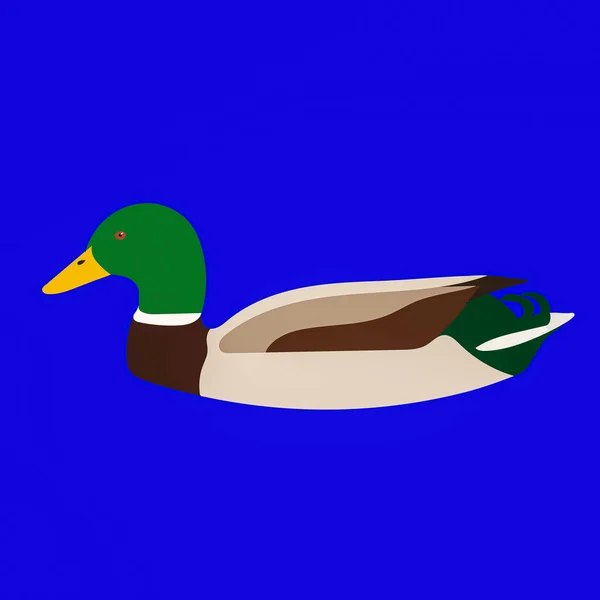 Een Grafische Illustratie Van Mallard Duck Voor Gebruik Als Logo — Stockfoto