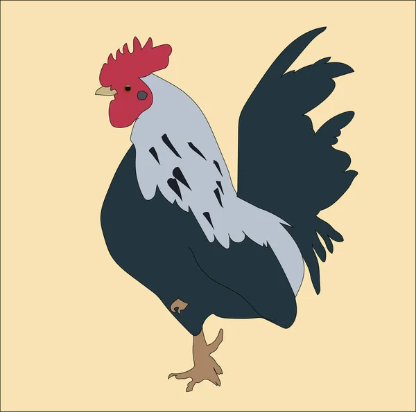 Graphical Representation Rooster Use Web Decoration Logo — Stock Photo, Image