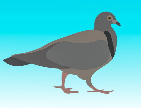 A graphic illustration of a Pigeon or dove for use as a logo or icon