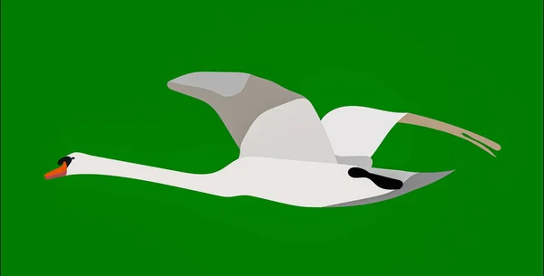 Graphic Illustration Flying Mute Swan Use Logo Icon — Stock Photo, Image