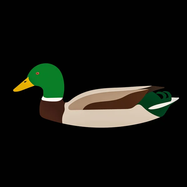 Γραφική Απεικόνιση Του Mallard Duck Για Χρήση Λογότυπο Εικονίδιο — Φωτογραφία Αρχείου