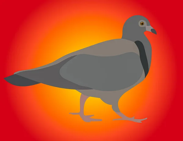 Eine Grafische Illustration Einer Taube Oder Taube Zur Verwendung Als — Stockfoto