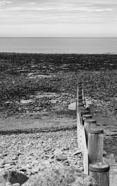 Monochromatický Obraz Dřevěné Groyne Táhnoucí Podél Pláže Irskému Moři Aberaeronu — Stock fotografie