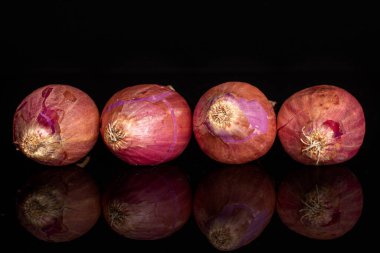 Siyah camlı dört arpacık soğanı grubu.