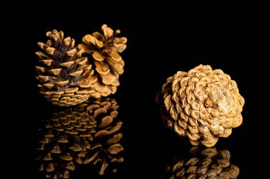 Üç güzel kozalaktan oluşan bir grup siyah camda izole edilmiş.