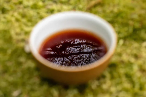 Taza Con Oscuro Sentado Musgo Naturaleza — Foto de Stock