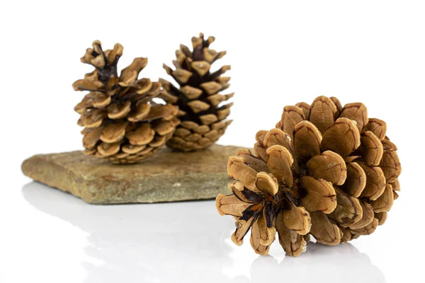 Group Three Whole Beautiful Pine Cone Flat Rock Isolated White Royalty Free Stock Images