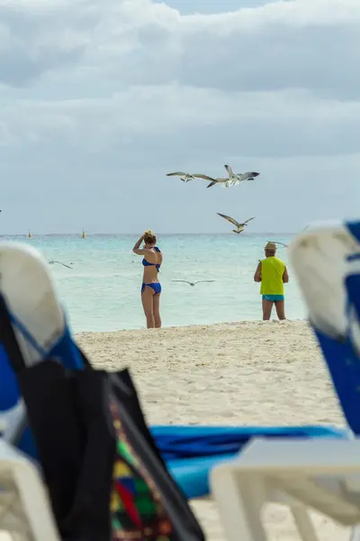 Gaivota na praia — Fotografia de Stock