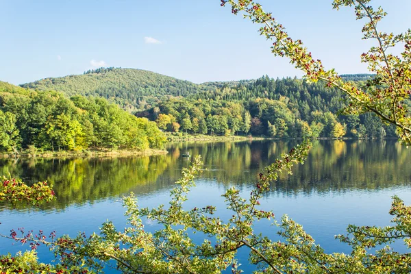 Natura in autunno al Lago di Rur — Foto Stock