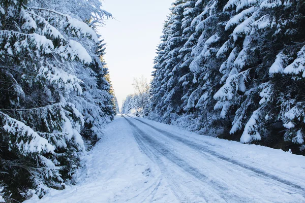 The first snow in the winter — Stock Photo, Image