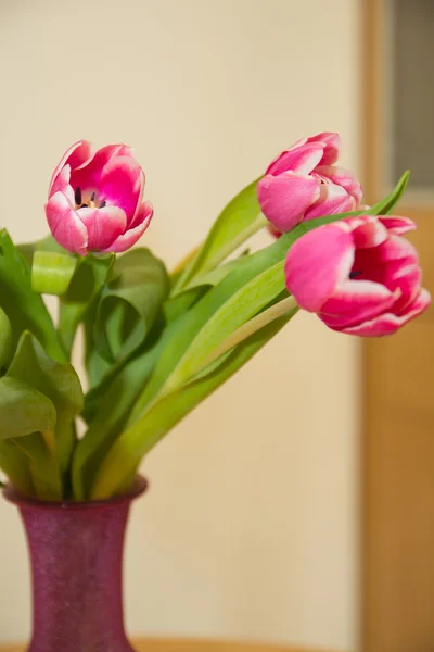 Букет тюльпанів — стокове фото