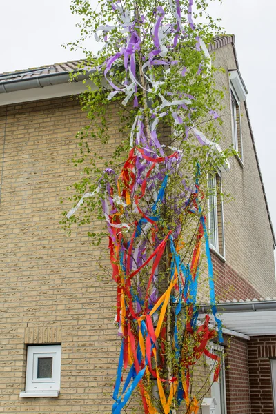 Maypole en el edificio —  Fotos de Stock