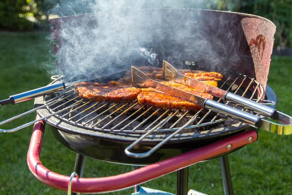 Carne fresca marinata barbecue — Foto Stock