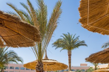 Hasır şemsiyeleri sahilde otel alanı