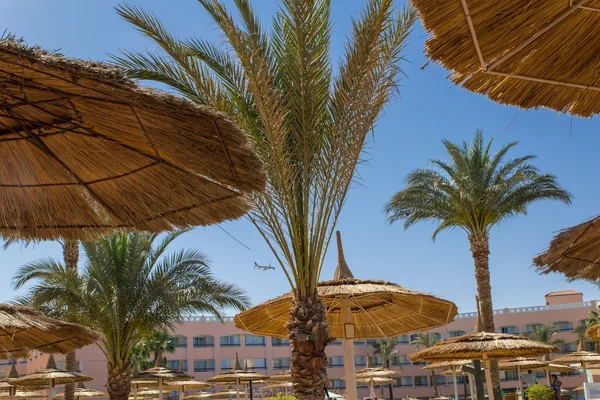 Guarda-chuvas de palha na praia na área do hotel — Fotografia de Stock