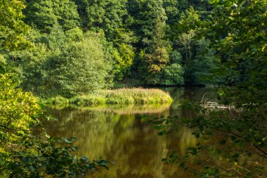 Güzel sahne umutları Rursee çevresinde