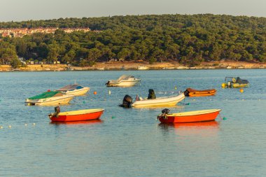 Altın sunsrise saatte