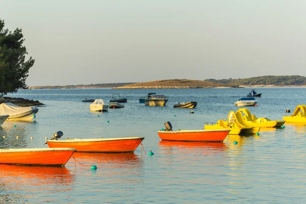 Hora dorada al amanecer — Foto de Stock