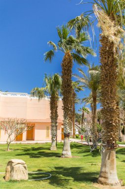 Otel kompleksi güneşli bir günde