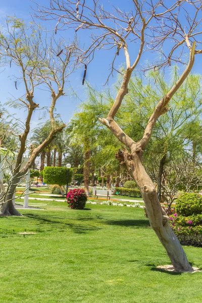 A sunny day in the hotel complex — Stock Photo, Image