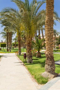 Otel kompleksi güneşli bir günde