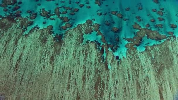 Drohnen Dolly Bild Des Weltgrößten Barriereriffs Great Barrier Reef Korallen — Stockvideo