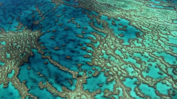 Aerial Drone Dolly Shot World Largest Barrier Rafa Koralowa Wielka — Wideo stockowe