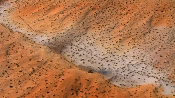 Luftaufnahme Von Kamelkarawanen Die Salz Durch Die Wüste Danakil Äthiopien — Stockvideo