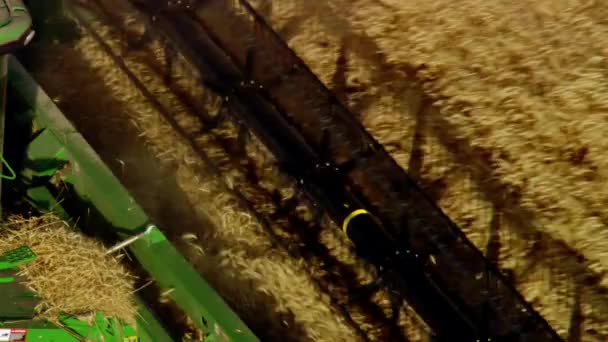 联合收割机牵引机在田里收获成熟小麦的空中无人机图像 收割机司机在农田里收割庄稼 有机耕作 农业概念 — 图库视频影像